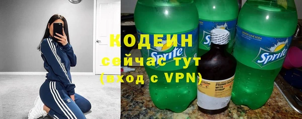 дживик Вяземский