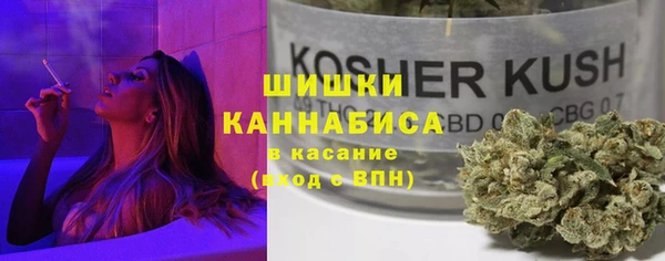 гидра Горнозаводск