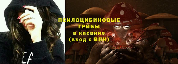 дживик Вяземский