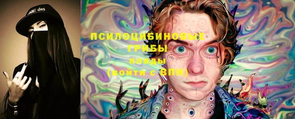 дживик Вяземский